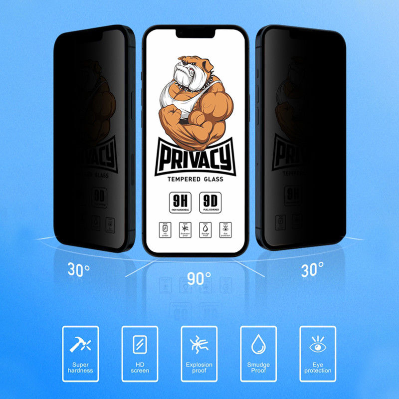 Anti Glare Asahi Glass Privacy 13 Pro Max Tempered Screen Protector For Iphone Apple
